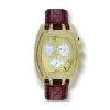 Aqua Master Iced Out Men's 3.50ct Diamond Watch